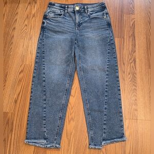 Democracy Ab"solution High Rise Spliced Ankle Length Straight Leg Jeans Blue 6 P